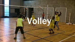 volley-2