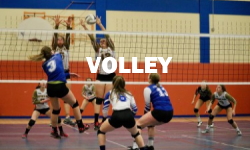 Volley2_picto2